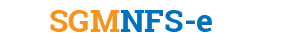 Logo NFSE